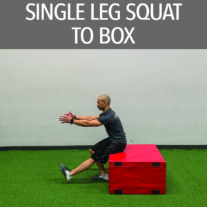 Single Leg Squat to Box