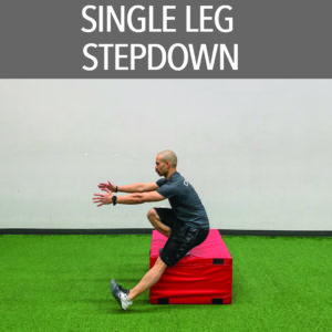 Single Leg Stepdown