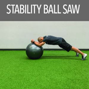 Stability Ball Saw